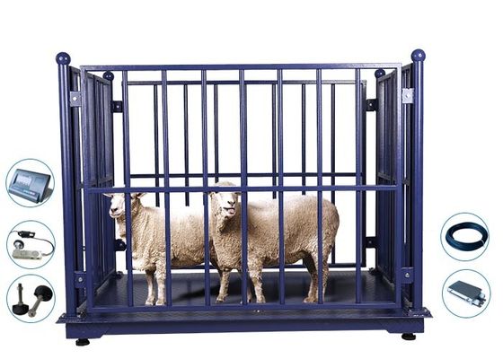Plattform Soems 5 Ton Cattle Weight Machine Flushable für Bauernhöfe